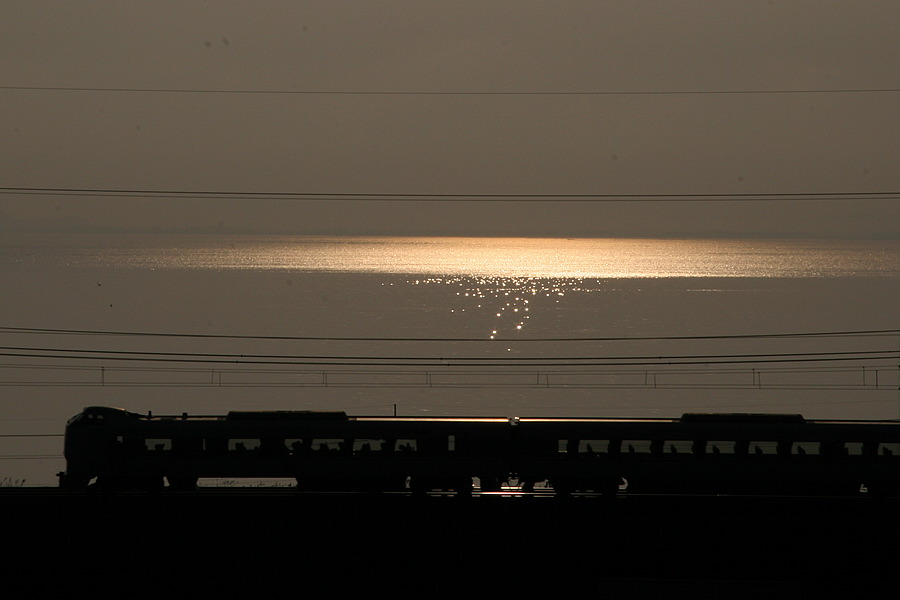 IMG_01.png