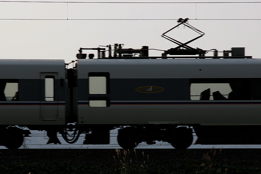 IMG_21.png