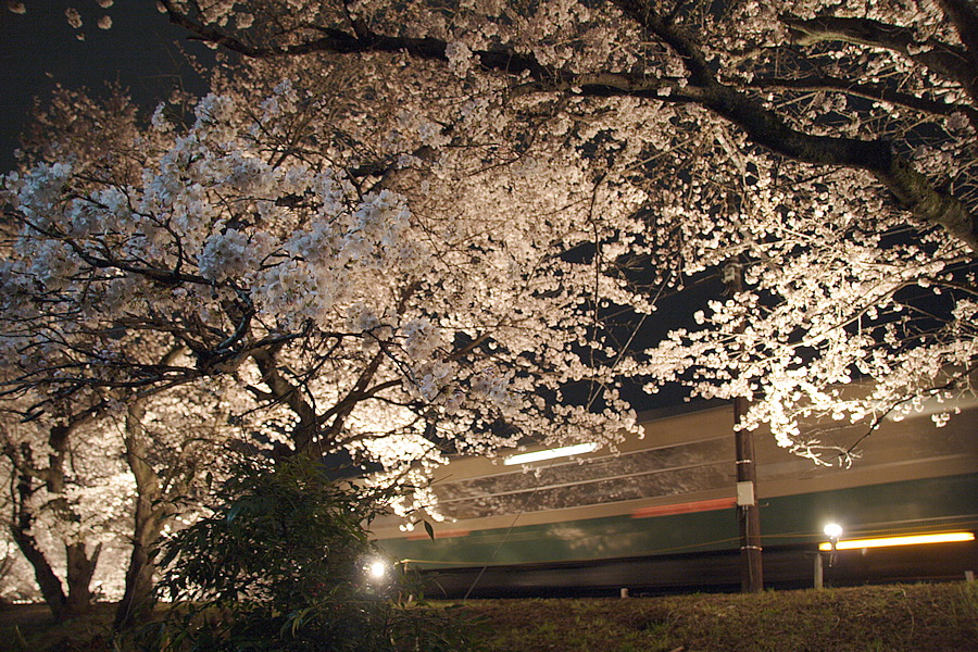 img_008.png