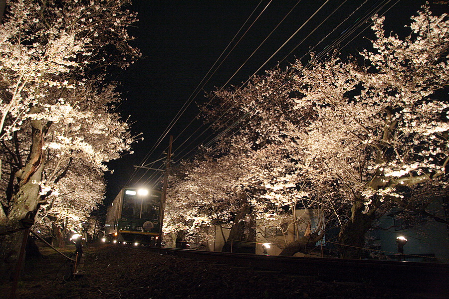 img_009.png