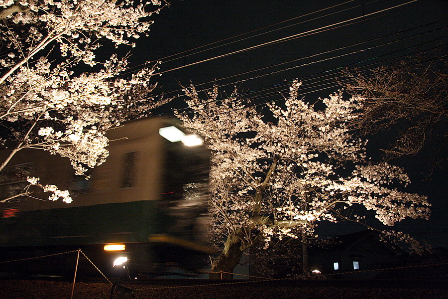 img_011.png
