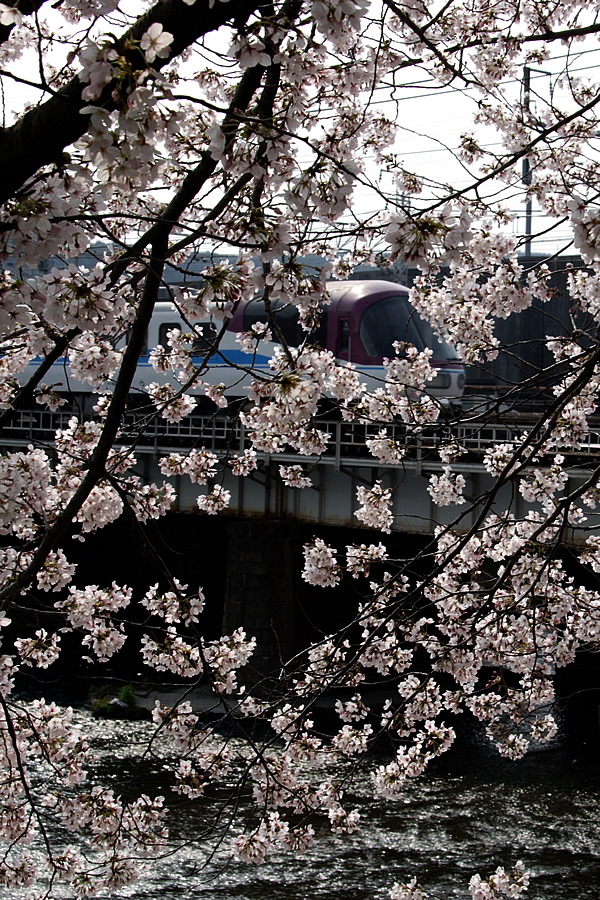 img_005.png