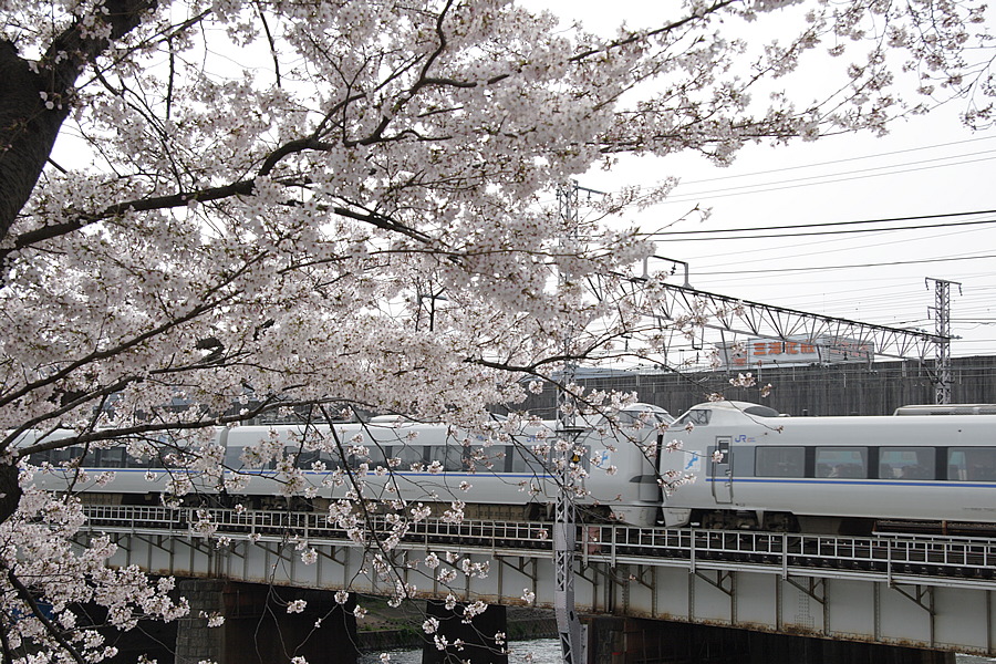 img_007.png