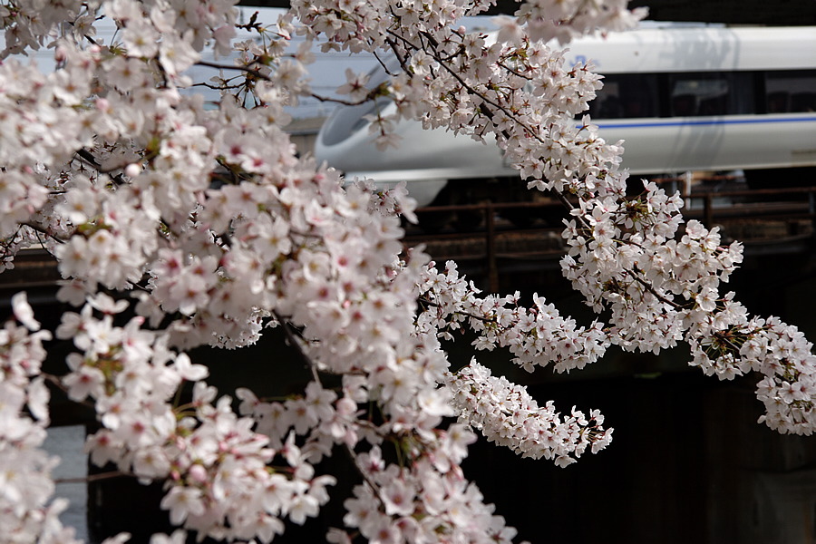 img_012.png