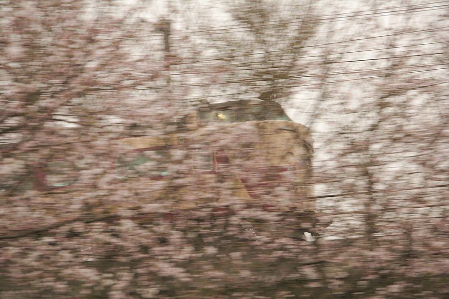 img_005.png