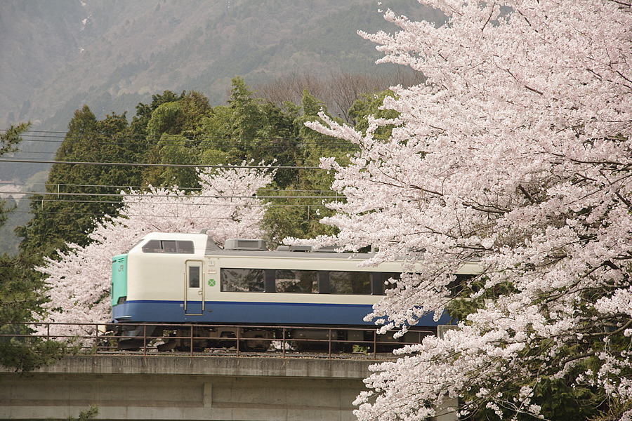 img_017.png