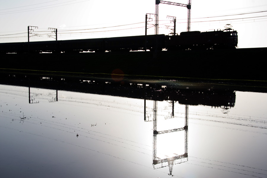 img_005.png