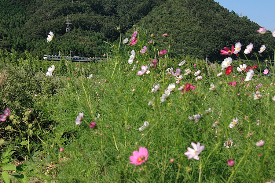 IMG009.png